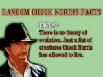 Chuck Norris Fact 2